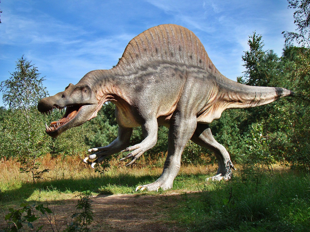 Real life dinosaur!
