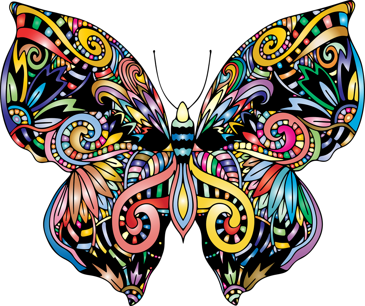 butterfly