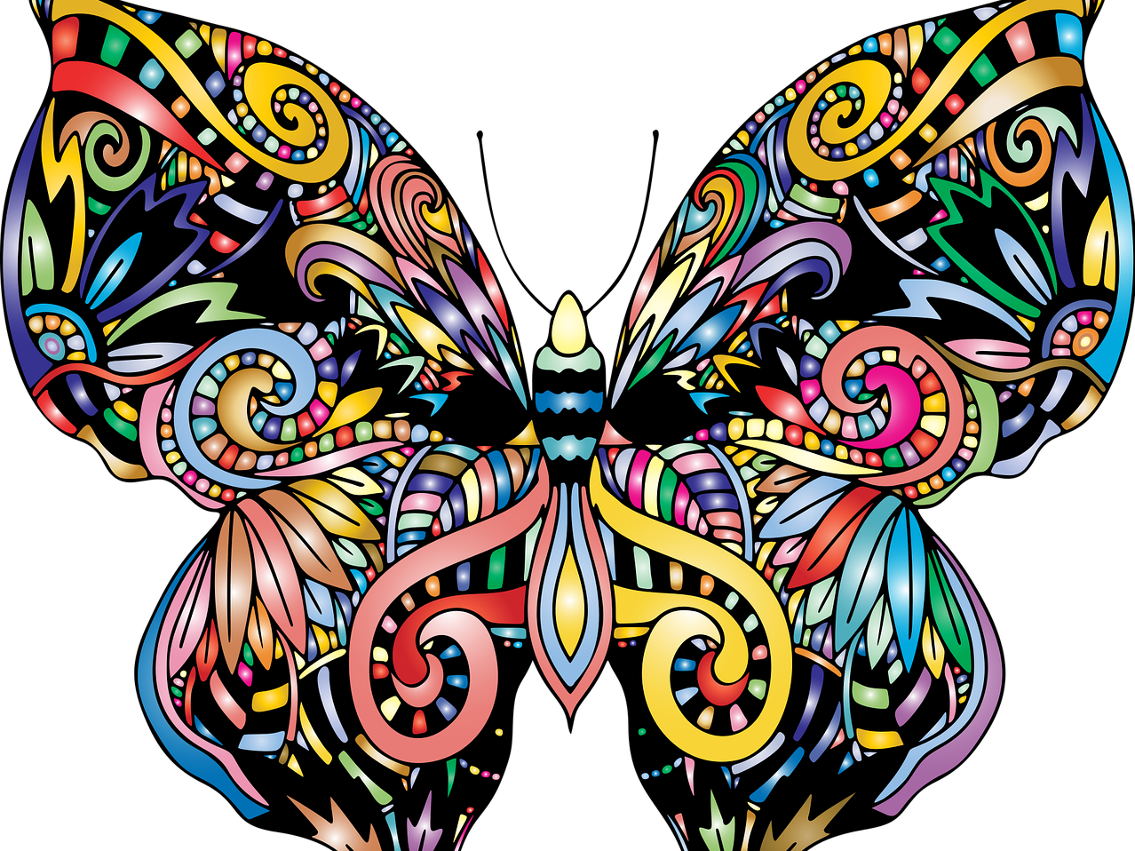 butterfly